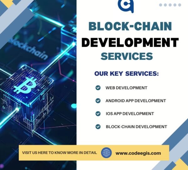 CodeAegis Pvt Ltd